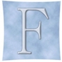 FAHN & Partner Wirtschaftsprüfer Steuerberater München mbB Logo