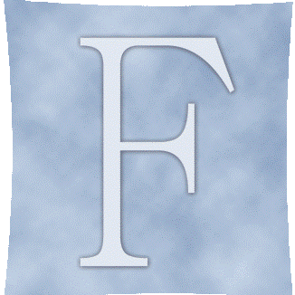 FAHN & Partner Wirtschaftsprüfer Steuerberater München mbB Logo